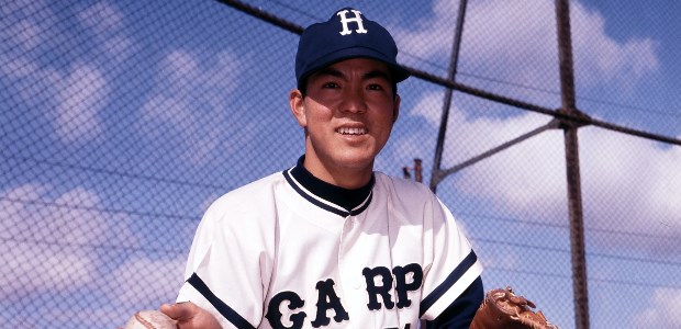 �����»�  ���