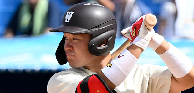 ����ͺ�� �ȥ西��ư�� �����