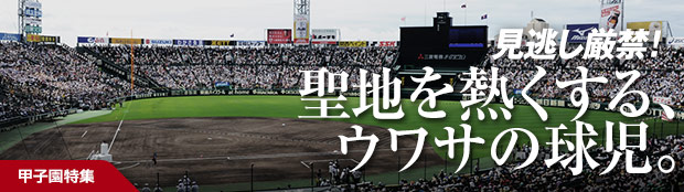 2015�ûұ��ý�