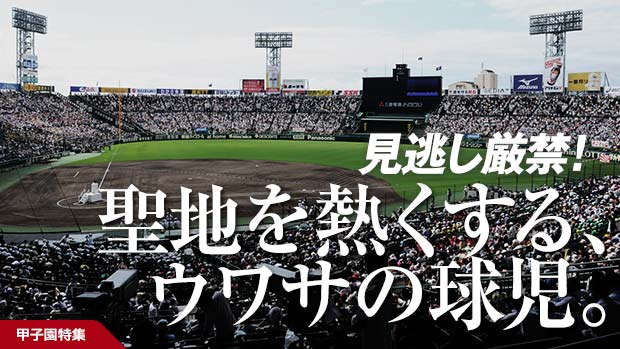 2015�ûұ��ý�