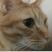 �ޤ�ޤ뤵��
